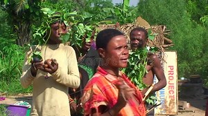 National Dance Pygmy Tribe, Audio Stock Footage - Video of lighting, medium: 48396676