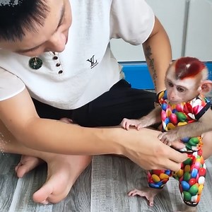 58 reactions · 5 comments | Monkey KaKa most cutest wearing new clothes Dad just buy for her | A Bi Monkey | Facebook