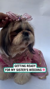 1M views · 3.3K reactions | What a beautiful outfit ❤️ | Furry Tails | Facebook