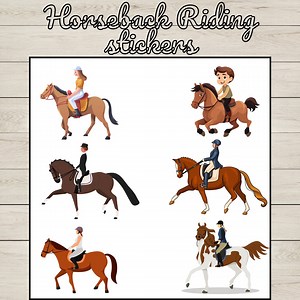 Horse Riding Sticker: Equestrian Decal for Horse Enthusiasts, Horse Lover - Etsy Canada