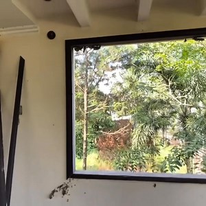 63K views · 1K reactions | Biệt Thự Màu Tro Lạnh: Nhiều Tháng Năm Không Người Ở - Chỉ Còn Lại Khối Kiến Trúc Tráng Lệ Bên Trong làm Mê Lòng Người. #khampha #discovery #ngodaingocfb | Ngô Đại Ngọc FB | Facebook