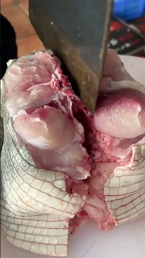 Crocodile Meat Prep — Rare Exotic Cooking Process!#crocodilemeat #rarefood #foodprep