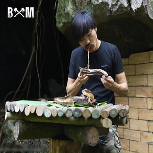 Surprise while sleeping #camping #bushcraft #survival #shelter #outdoors #cabin #wildforest #survivalskills #fyp | Bushcraft Master