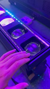 3.8K views · 25 reactions | Hot selling item10x60w rgbw 4in1 led...