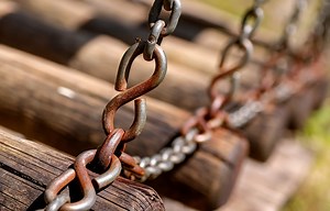 Mysterious case of American woman found chained to a tree in Indian forest was a hoax, say doctors and police