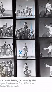 35 reactions | Life magazine found the contact sheets of these seminal photos of #partition. A salient reminder of how much 16 million of our ancestors Suffered at the hands of Empire map writing. https://www.life.com/history/margaret-bourke-white-great-migration/. I recreated some of them in my film #viceroyshouse #india #pakistan #panjab | Gurinder Chadha, OBE | Facebook