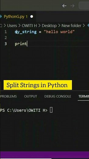 Split Strings With Python(Simple) #pythonprogramming