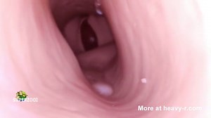 Inside Fleshlight Sleeve