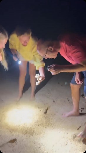 Chasing weird crab #nature #beach @rosemaryrichardss | Joe Richards