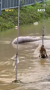 1.8K views | This giant python was spotted in Thailand during a flood  #fypシ゚viralシfypシ゚ #fypageシ #viralreelschallenge #fypシviralシ2024 #fyp #reelschallenge #StarsEverywhere #tbt #agt #trending #AI | Tshepo DaDesigner | Facebook
