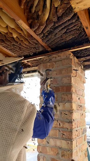 Jude Verret on TikTok