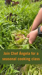 4 comments | Join Chef Ángela Ortez Zarate (@chefangelitaortez) to...