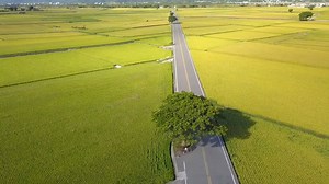 1K views · 49 reactions | Whether you're a leisure or a hardcore cyclist, the thrill of discovering #Taiwan on two wheels is tough to beat! Check out one of these awe-inspiring cycling routes Hualien and Taitung have to offer. ‍♀️ | Taiwan Tourism SG | Facebook