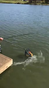 2.1K views · 33 reactions | Dan Webb Fishing and Mark Sawyer are out in the sun this week to take a closer look at the Daiwa N’ZON Super Slim range. And they’re enjoying a spot of celeb spotting too! | Angling Times | Facebook