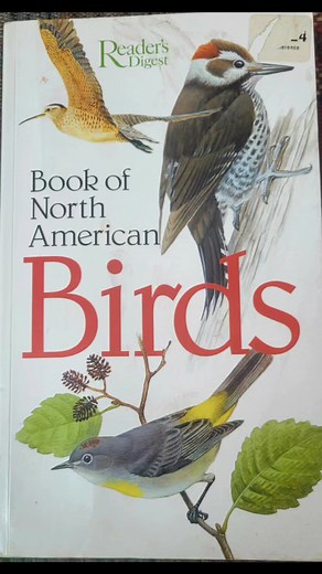 3.8K views · 48 reactions | My favorite thing about winter storms is staying warm and cozy inside and watching all my winter bird friends come to visit! Today I have seen cardinals, juncos, bluejays, sparrows, wrens, chickadees, titmice, purple finch, pine siskin, goldfinch, red-breasted nuthatch, and red-bellied woodpecker all in my little redbud tree. #lifelovehygge 懶 #birdwatching | Life, Love & Hygge | Facebook