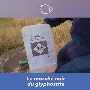 ☣ Depuis janvier 2019, le glyphosate est interdit aux particuliers. Pourtant, des jardiniers amateurs continuent d'en acheter et de le répandre en toute illégalité. | Le 20h – France Télévisions