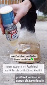 HJÆLP TIL TØRRE OG REVNEDE HOVE💪🏻 Leovet Elastic hovcream afhjælper tørre og revnede hove. Smøres direkte på hoven og trænger hurtigt ind og giver fugt og elasticitet! Giver ekstra fugt ved hjælp af solsikkeolie🌻 og kokosolie🥥 - Pris 109 kr✅ #abrideudstyr #leovet #leovetimeinsatz #leovetdanmark @leovet_danmark #horse #pony #horsegrooming #horsegroom #horsegroomingproducts #equestrian #equestriantips | ABrideudstyr.dk