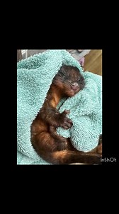 1.6K views · 121 reactions | Magnifeec! | Minton Farm Animal Rescue Centre | Facebook