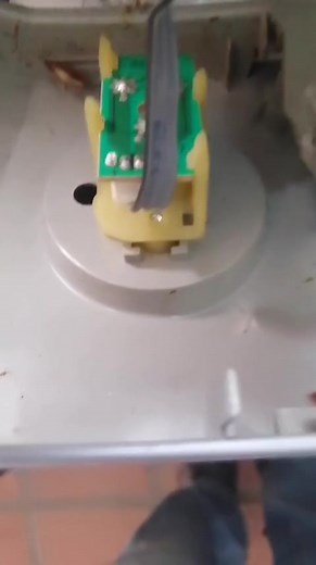 The Death of many a dishwasher or microwave .... #CockroachesControl | Appliance Doctor Bloemfontein