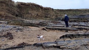*Engage scanning beach mode* | Fabulous Filo and her Fantastic Friends.