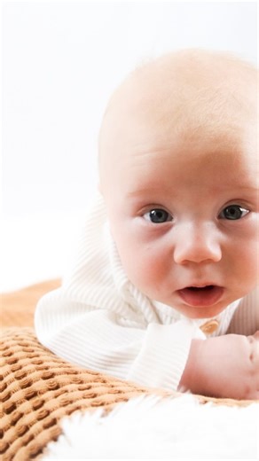 10K views · 911 reactions | The struggle is real 藍❤️ When Beau sleeps I just look at him or take more sleeping pictures of him! | The Bradley Bunch | Facebook