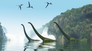 How feathered dinosaurs became the first true birds