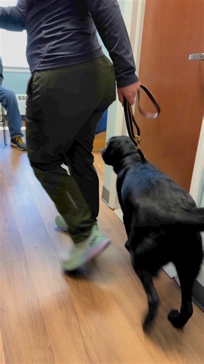The wiggly butt 💙 Dog Day is our favorite day at the Guide Dog Foundation! Seeing the joy on our handlers’ faces when they meet their new pups is priceless. 🐾 Video shows Carl, sitting in a chair in his dorm room at the Guide Dog Foundation’s national headquarters in Smithtown, New York. In walks Lauren, a Guide Dog Mobility Instructor, and Nadia, a female black lab and Carl’s new guide dog. Nadia‘s tail wags as Carl pets her side. #GuideDogFoundation #GuideDog #Blind #LowVision #DogDay | Guid