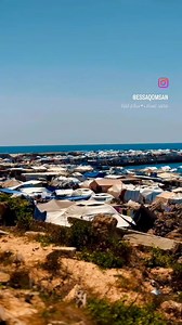 How long will the displacement continue? | PALM Strategic Initiative Centre | Facebook