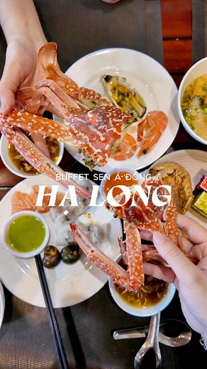 Đến Hạ Long ăn gì!! Buffet Sen Á Đông giúp bạn thoả mãn chiếc bụng đói với gần 120 món!!! #halongdiningguide #musttryinhalong #buffetsenadong #HảiSảnHạLong #nhàhànghạlong #halongseafood #BãiCháy #côngviênnước #halongbuffet | Nhà hàng Buffet Sen Á Đông Hạ Long