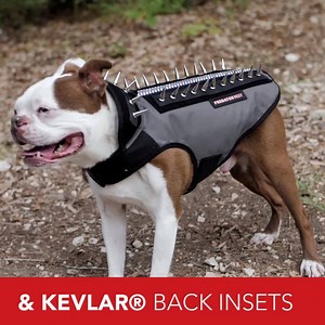 283K views · 549 reactions | THIS CRAZY LOOKING VEST IS SAVING DOGS...