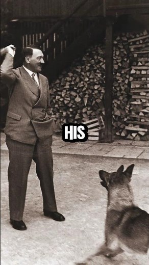 Blondie the Dog the Tragic Story of Hitler's Beloved Companion