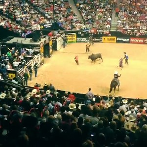 This is the highlight of my month!!! #PBRFinals #BullridinInVegas #Yeehawww | Kavita Channe