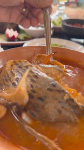 13K views · 155 reactions | Conocimos un nuevo lugar donde puedes elegir entre Barbacoa al estilo de Zaachila, Mariscos, memelitas y más… Se llama Tío Che Restaurante, Jardin & Eventos Y se encuentra en la carretera a #zaachila Puedes reservar o pedir la ubicación a este número  951 421 30 31  Efectivo y Transferencia Checa el video y ayuda a compartir para que más personas conozcan este lugar  #oaxacadonde #oaxacamexico. #emprender | Oaxaca Donde | Facebook