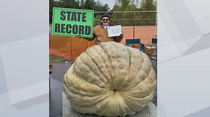 Suring man grows 1,628.5 pound squash, setting WI record to date