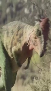 65K views · 2.1K reactions | Dinosaurs #dinosaur #dinoworld #dragon | Dinosaurs Zoo | Facebook