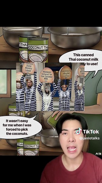 อีกแล้ว! #PETA โพสต์โจมตีกะทิไทย อ้างใช้ลิงเก็บมะพร้าวเหมือนเครื่องจักร #janlotalks #ข่าวสารสาระ #ข่าวtiktok #ข่าวสั้น #ลิงเก็บมะพร้าว #กรีนสกรีน