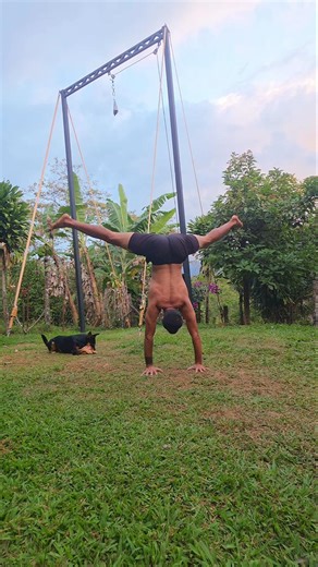 Kickthrough to Straddle Handstand! WARNING: Extremely Fun to Try! 🙏🏽 #movementismedicine