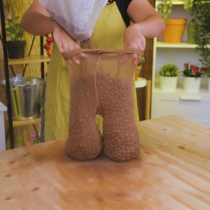 Devenez un jardinier PRO grâce à ces ASTUCES ! | Brico Monsieur