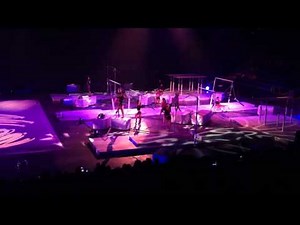 Mckayla Maroney and Aly Raisman Injured in Ontario, Ca