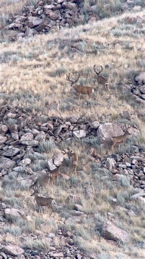 Bachelor party July 2025