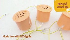 Hot new push button re-recordable animal sound module MUSIC box for doll AND PLUSH TOY CUSTOM PRINT LOGO