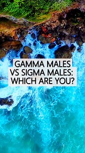 10K views · 104 reactions | 樂Gamma Males vs Sigma Males: Which Are...