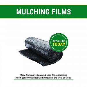 [Hot Item] Hot Sales Factory Supply Plastic Mulch Layer for Plant /Agricultural Plastic Mulching Sheet/Silver Shine Plastic Mulch Films