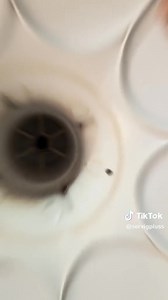 #Clasificados_Guamani 🛠️👨🏼‍🔧 SERVIG PLUSS 👨🏼‍🔧🛠️ Damos mantenimiento preventivo y correctivo a tus electrodomésticos, brindamos servicio a domicilio Lavadoras💦💦💦 Secadoras🔥🔥🔥🔥 Refrigeradoras🥶🥶 Frigoríficos🧊🧊🧊 Calefones🚿🚿🚿 Pregunta por nuestro servicio NUMERO : 0984985596 0989048849 MANTENIMIENTO DE LAVADORA CUALQUIER MARCA $30 | Guamaní