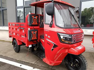 [Hot Item] 250cc Efficient Large Space Cargo Loading Tricycle for Transportation/Three Wheel Motorcycle for Delivery
