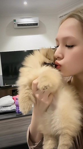 Phạm Trang on Instagram: "forever beside 懶"