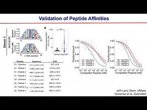 Model Informed Drug Development Approaches for Immunogenicity Assessments Workshop