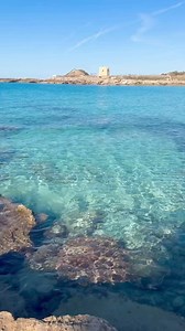 [PORTO] Buongiorno da Porto Pirrone (TA). Tutte queste località in puglia che si chiamano Porto Badisco, Porto Miggiano, Porto Selvaggio, Porto qualcosa, non hanno un vero porto, mentre città come Bari, Taranto, Brindisi che hanno dei grandi porti, non si chiamano Porto Bari, Porto Taranto, Porto Brindisi. Perché? Credits: @carmine_wonderful_emotions #nonveniteinpuglia #stateviacasa #stateviallecasevostre #puglia #apulia #instagram #instalike #instagood #spiaggia #mare #porto | No, non venite in