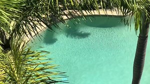 You may find it hard to believe but these beautiful poolside apartments are located in the centre of Cairns - close to all the shops, restaurants and cafes, tours activities and Reef Fleet Terminal plus all the services of this vibrant tropical city. Click here to book direct: https://www.southerncrossapartments.com | Southern Cross Atrium Apartments