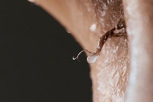 Filmmaker Matt Lambert on beauty, sweat and success